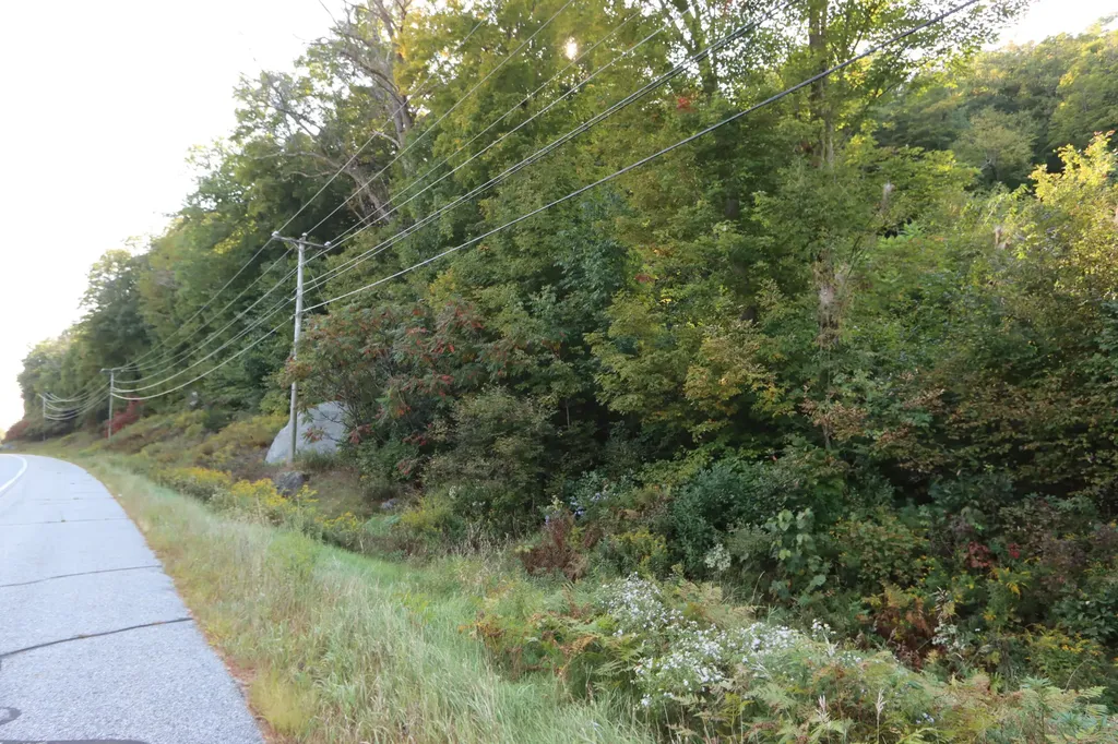 Lot 21 Auburn Road Turner ME 04282