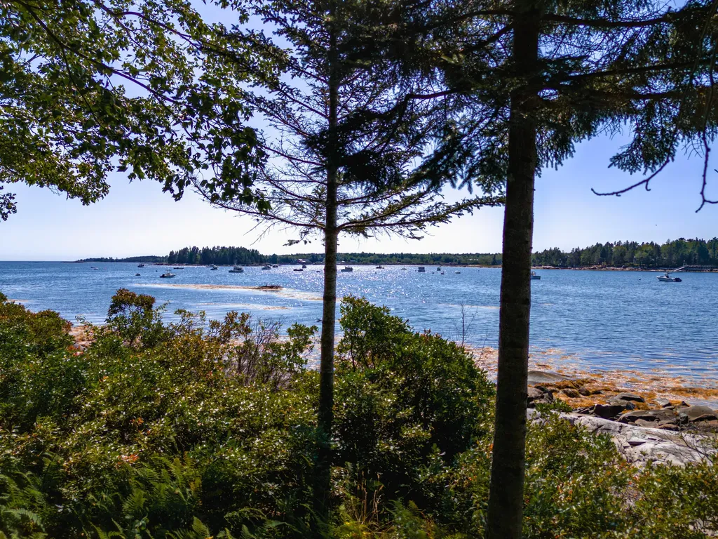 130 Harrington Cove Road Saint George ME 04859