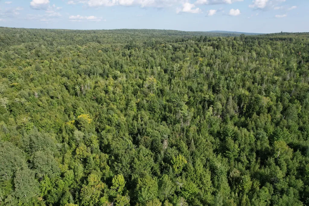 69K Christmas Cove Road Crawford ME 04694
