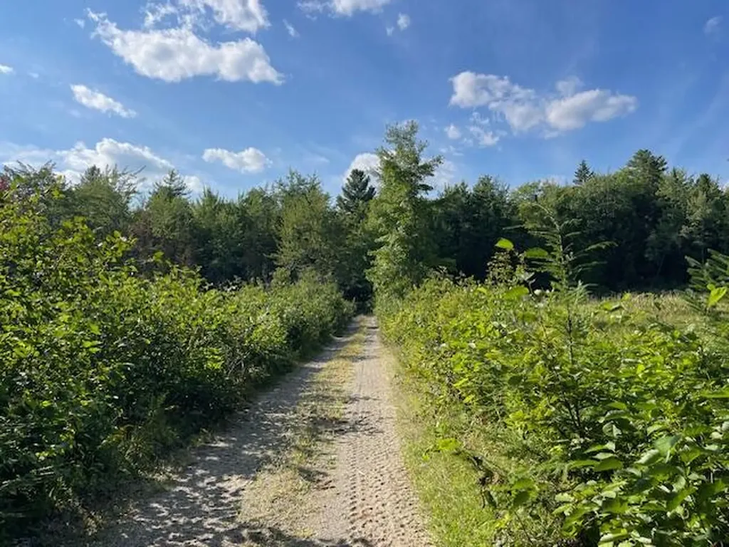 69K Christmas Cove Road Crawford ME 04694