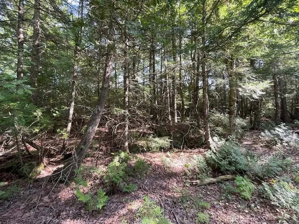 69K Christmas Cove Road Crawford ME 04694