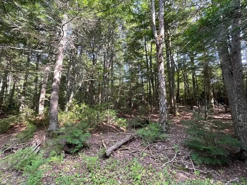 69K Christmas Cove Road Crawford ME 04694