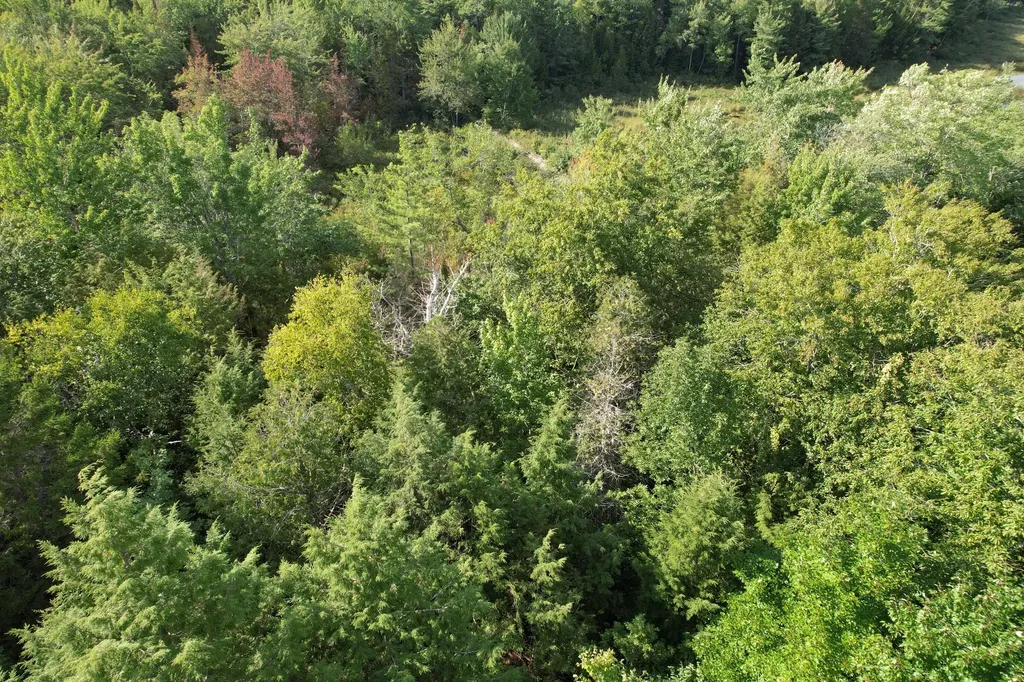 69K Christmas Cove Road Crawford ME 04694