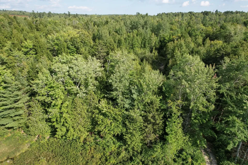 69K Christmas Cove Road Crawford ME 04694