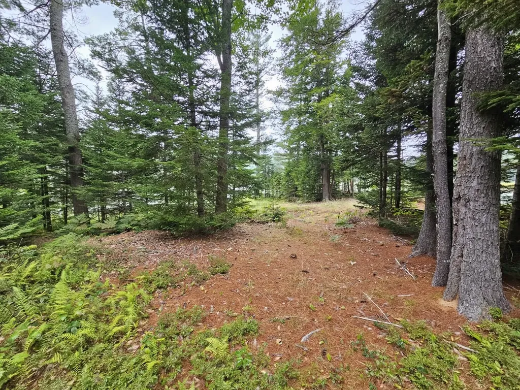 33 Charles Farm Trail Rome ME 04963