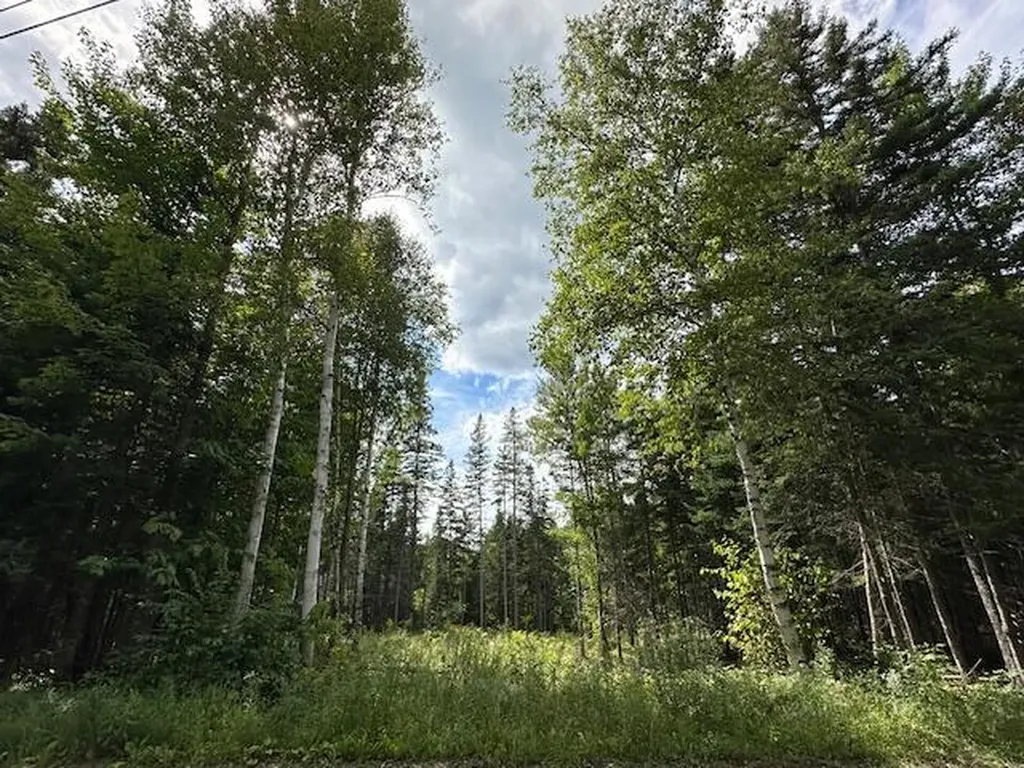 Lot 13 Porcupine Trail Coplin Plt ME 04982