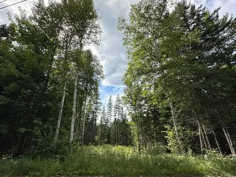 Lot 13 Porcupine Trail Coplin Plt ME 04982