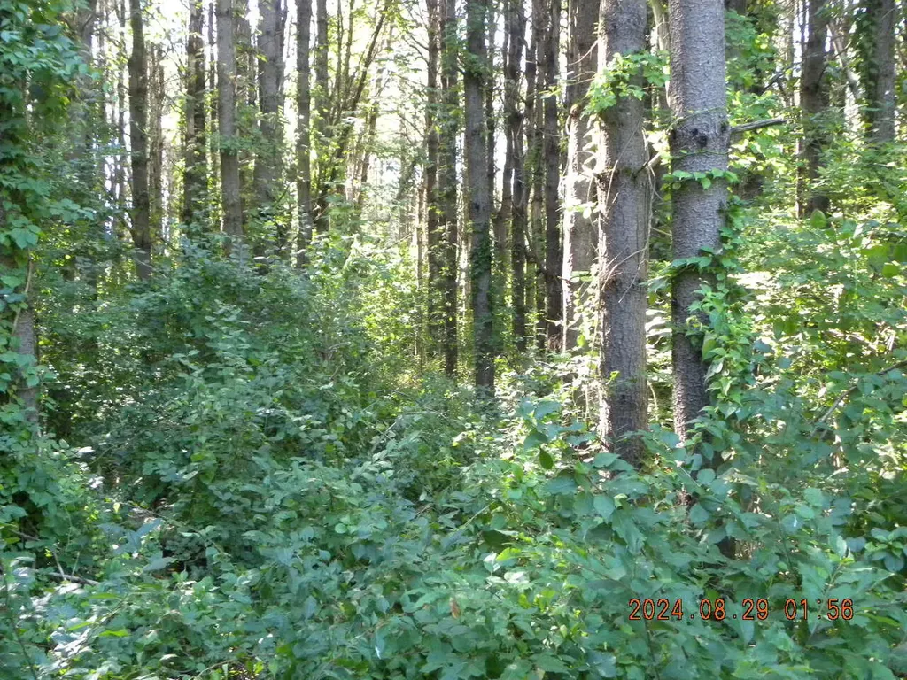 Lot A Bernier Road Sanford ME 04073