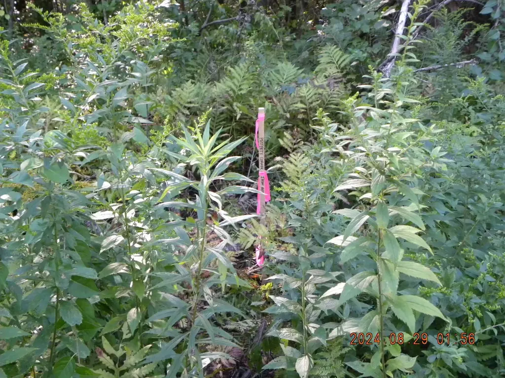Lot A Bernier Road Sanford ME 04073