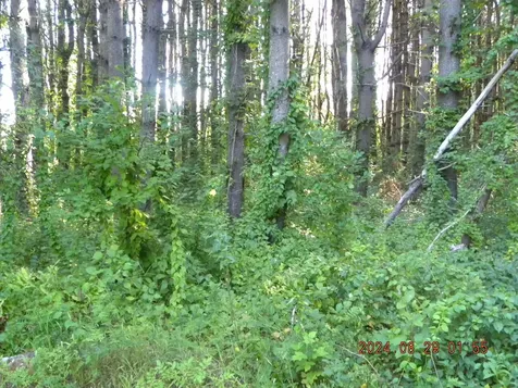 Lot A Bernier Road Sanford ME 04073