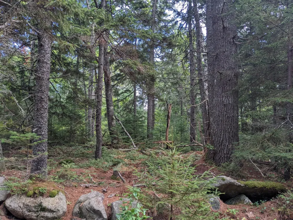Lot 48 Matthews Road Boothbay ME 04537
