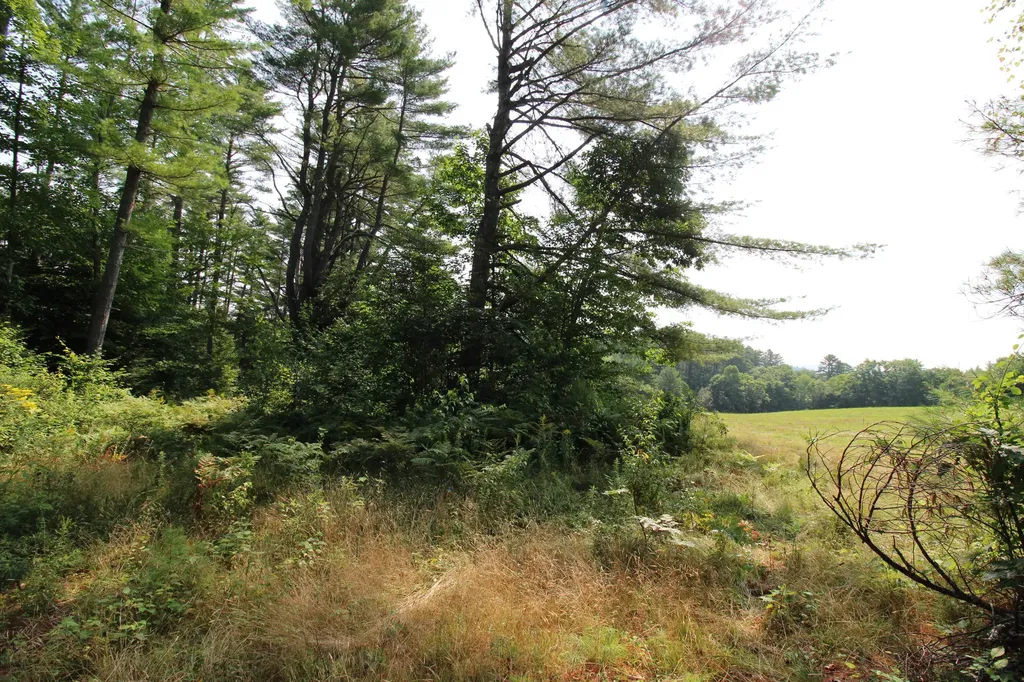 Lot 12 Bear Pond Road Waterford ME 04088