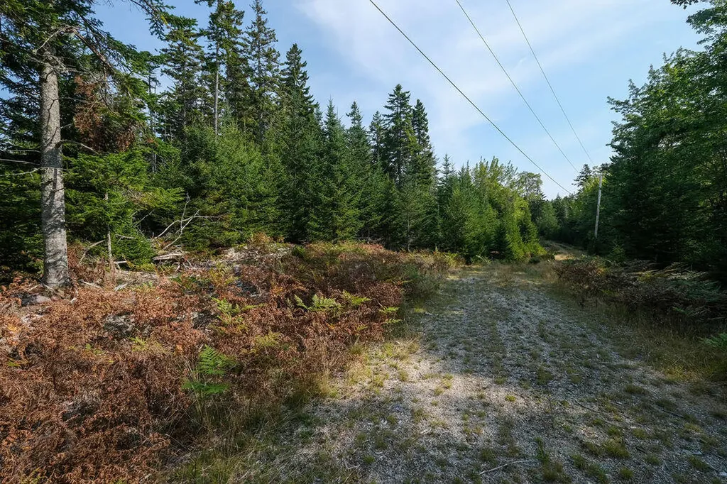 12-1 S Burnt Cove Road Stonington ME 04681
