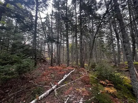 12-1 S Burnt Cove Road Stonington ME 04681
