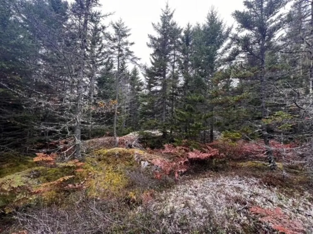 12-4 S S Burnt Cove Road Stonington ME 04681