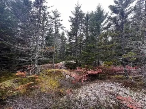 12-4 S S Burnt Cove Road Stonington ME 04681