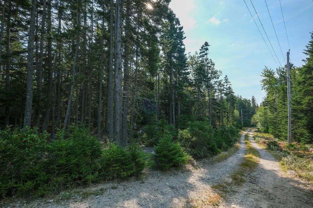 12-3 S S Burnt Cove Road Stonington ME 04681