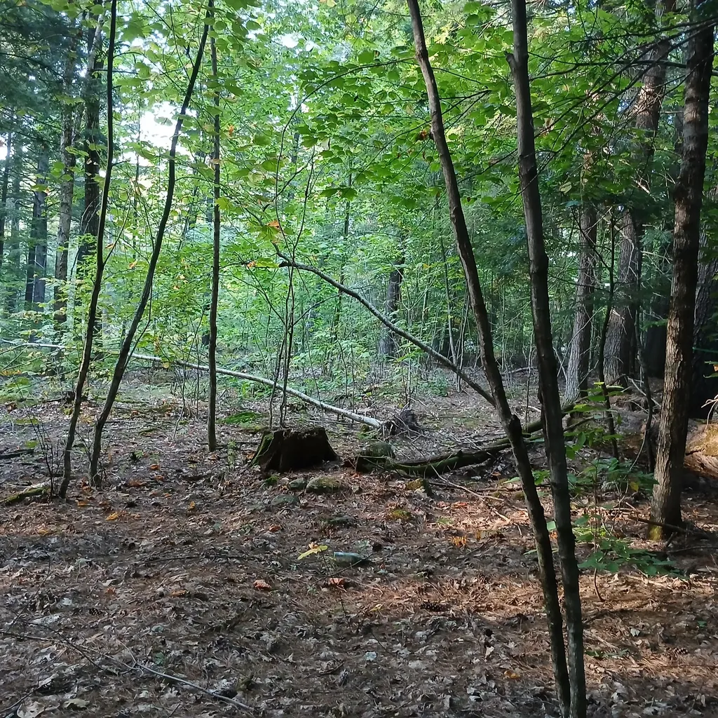 Lot A Highland Park Road Fryeburg ME 04037