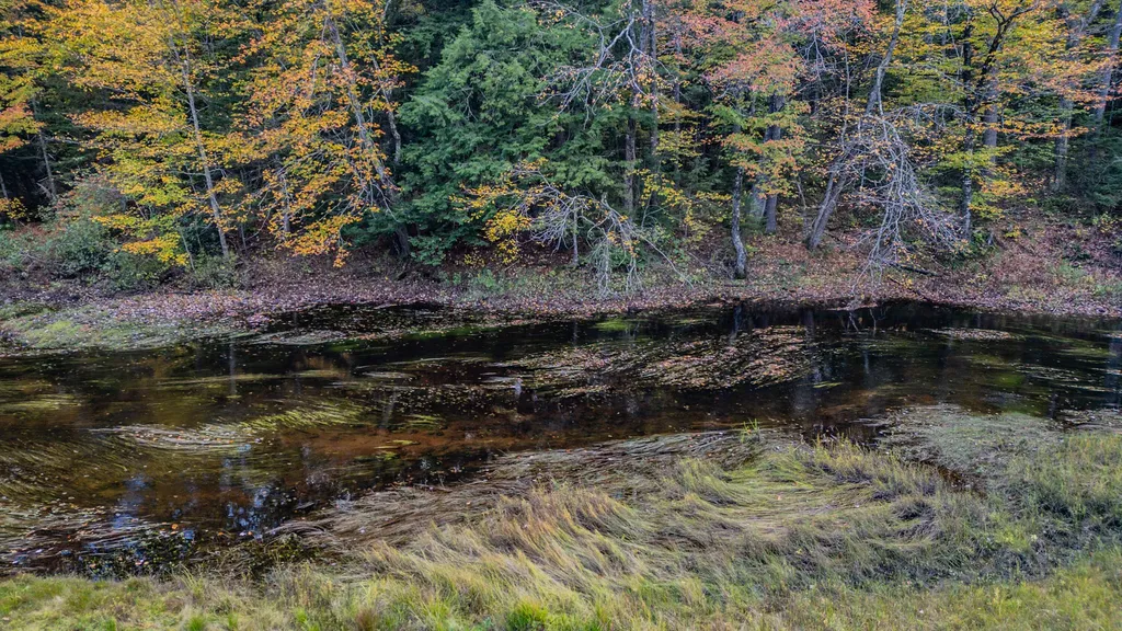 16 Lynchville Loop Albany Twp ME 04217