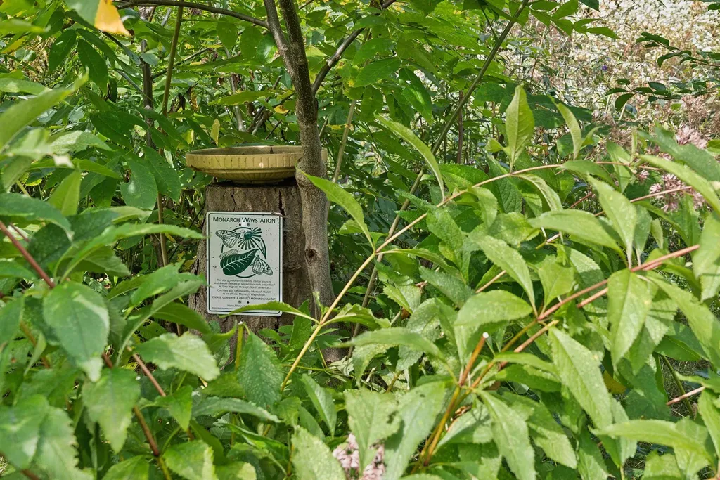 32 E Kidder Street Portland ME 04103