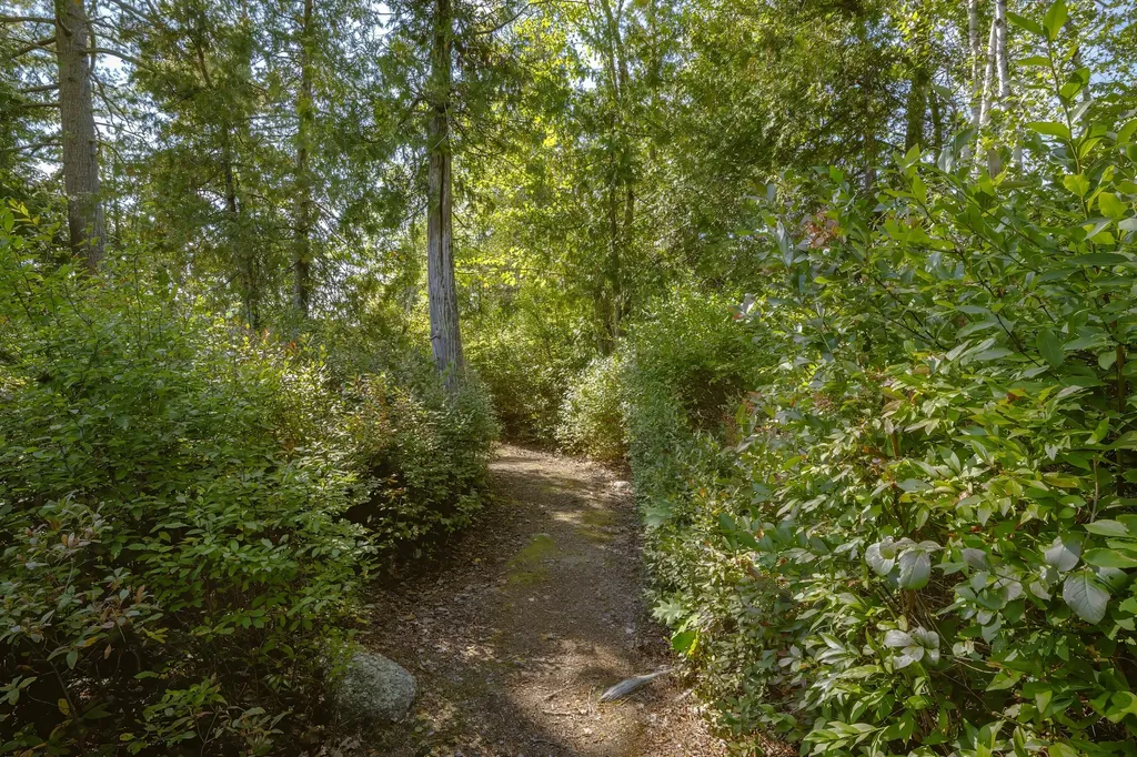 769 Green Lake Road Dedham ME 04429