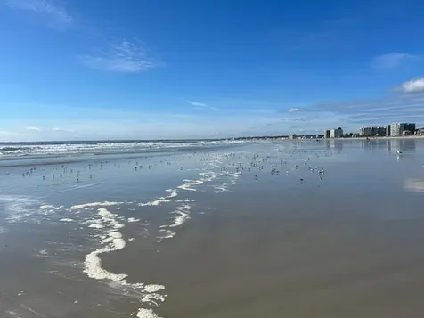 219 E Grand Avenue Old Orchard Beach ME 04064