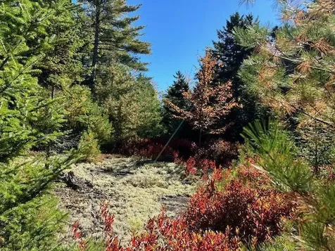 17-33 South Cobbtown Road Lincolnville ME 04849