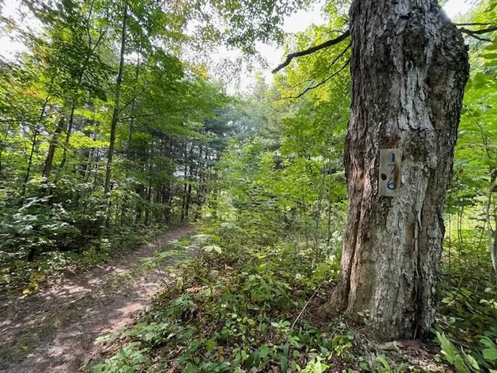 176 Robb Hill Road Alexander ME 04694