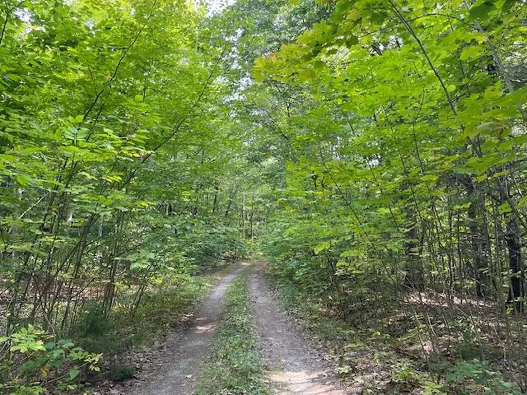 176 Robb Hill Road Alexander ME 04694