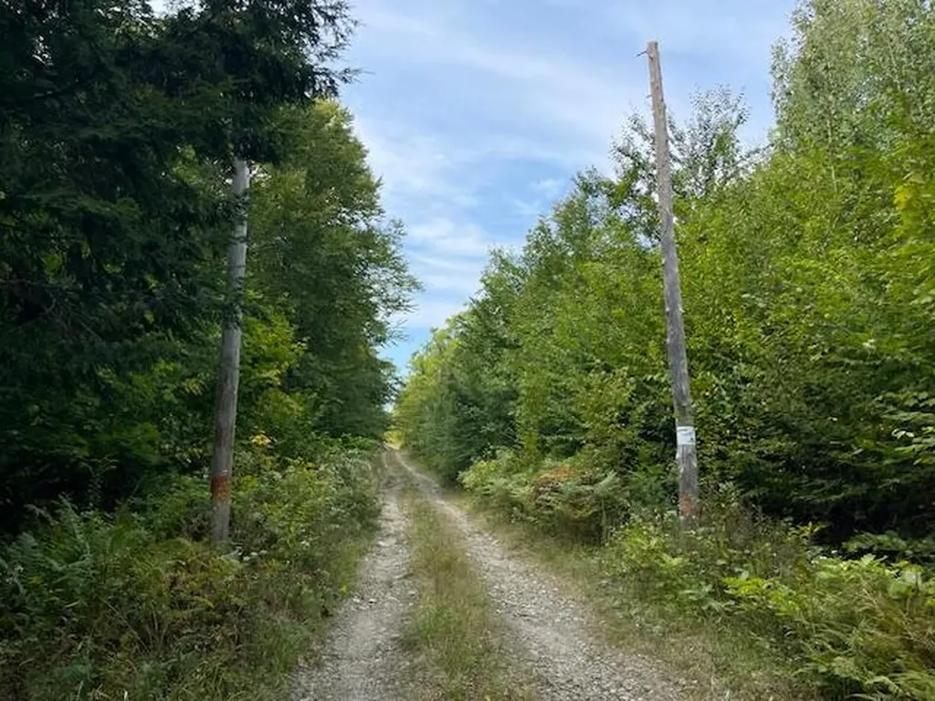 176 Robb Hill Road Alexander ME 04694