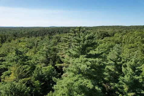 Lot 53 Robb Hill Road Alexander ME 04694