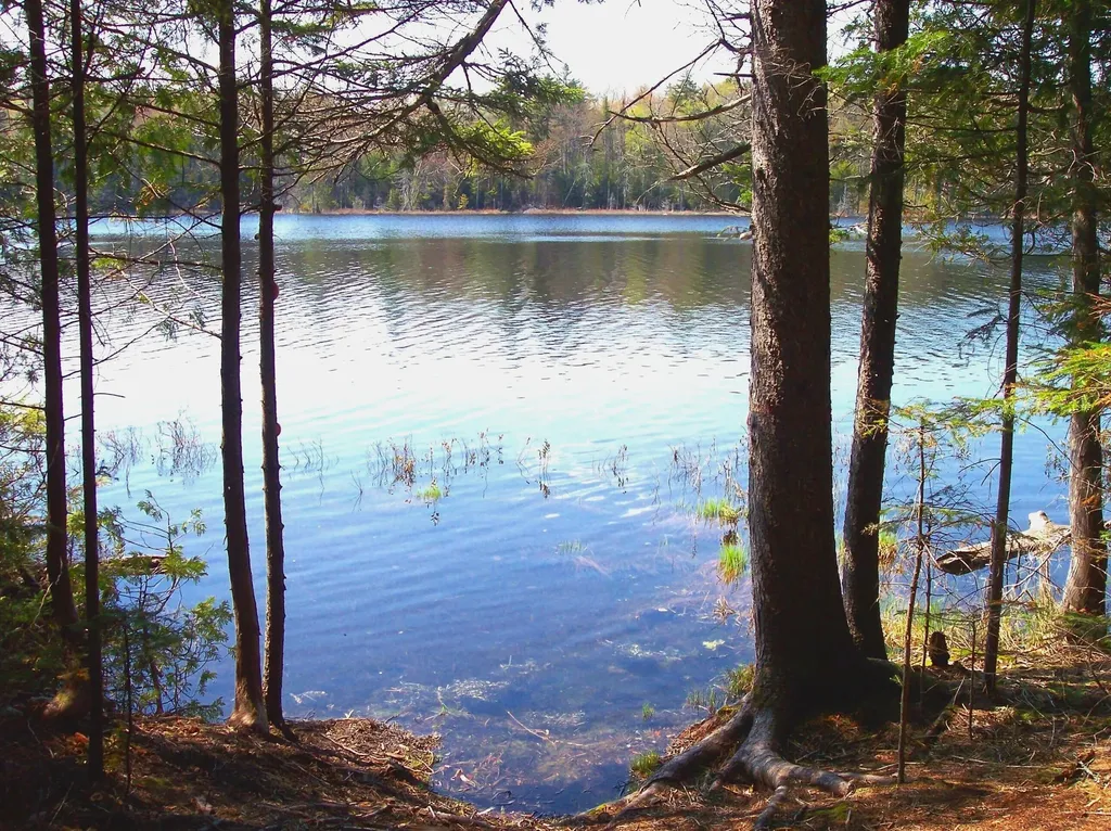626 Aroostook Scenic Highway Moro Plt ME 04780
