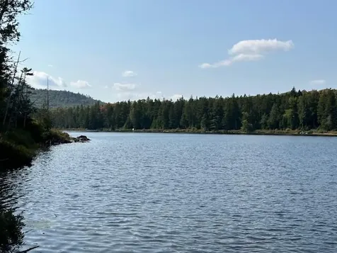 626 Aroostook Scenic Highway Moro Plt ME 04780