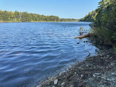 626 Aroostook Scenic Highway Moro Plt ME 04780