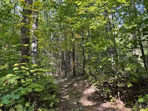 626 Aroostook Scenic Highway Moro Plt ME 04780