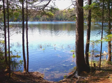 626 Aroostook Scenic Highway Moro Plt ME 04780