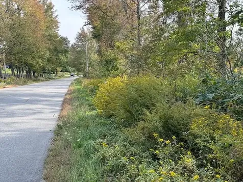 Lot 1 Back Ridge Road Orland ME 04472