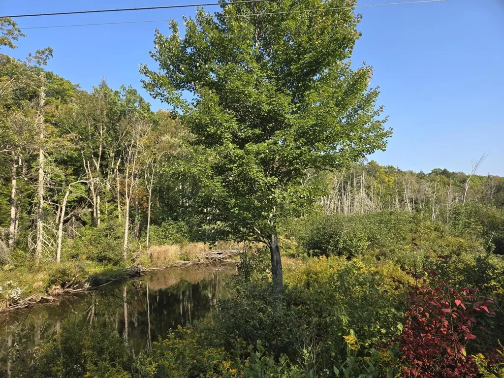 233 Valley Road Brooks ME 04921