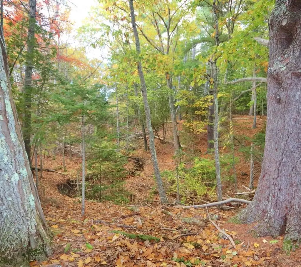 319 Main Road S Hampden ME 04444