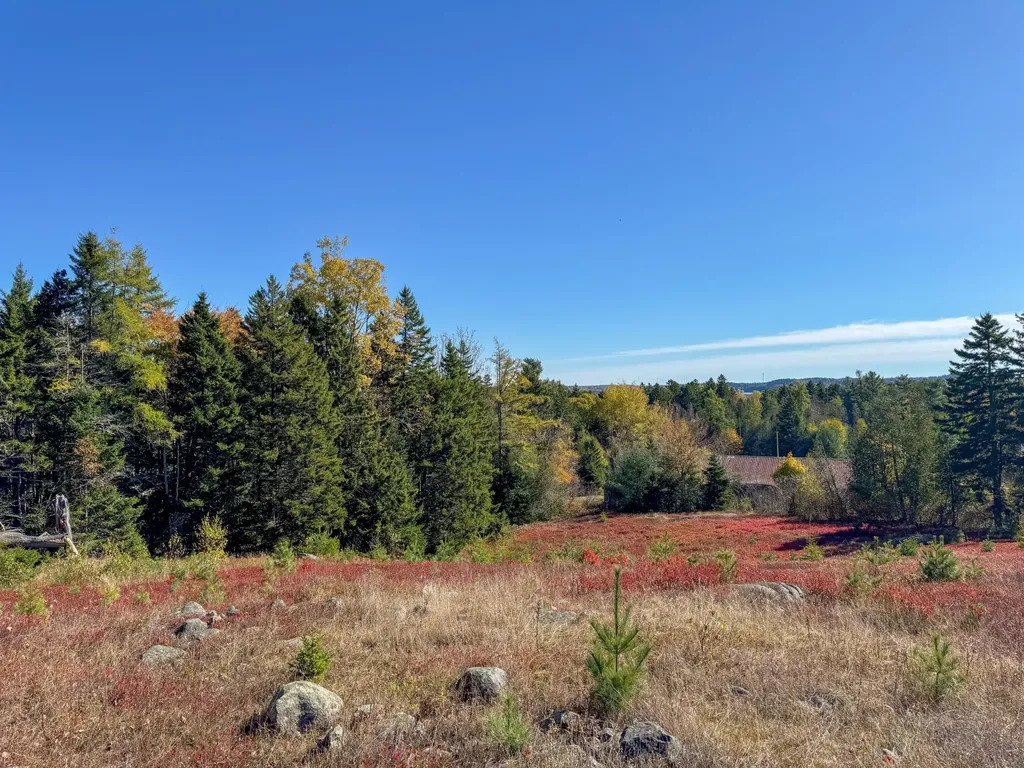 Lot 48b Getchell Lane Marshfield ME 04654