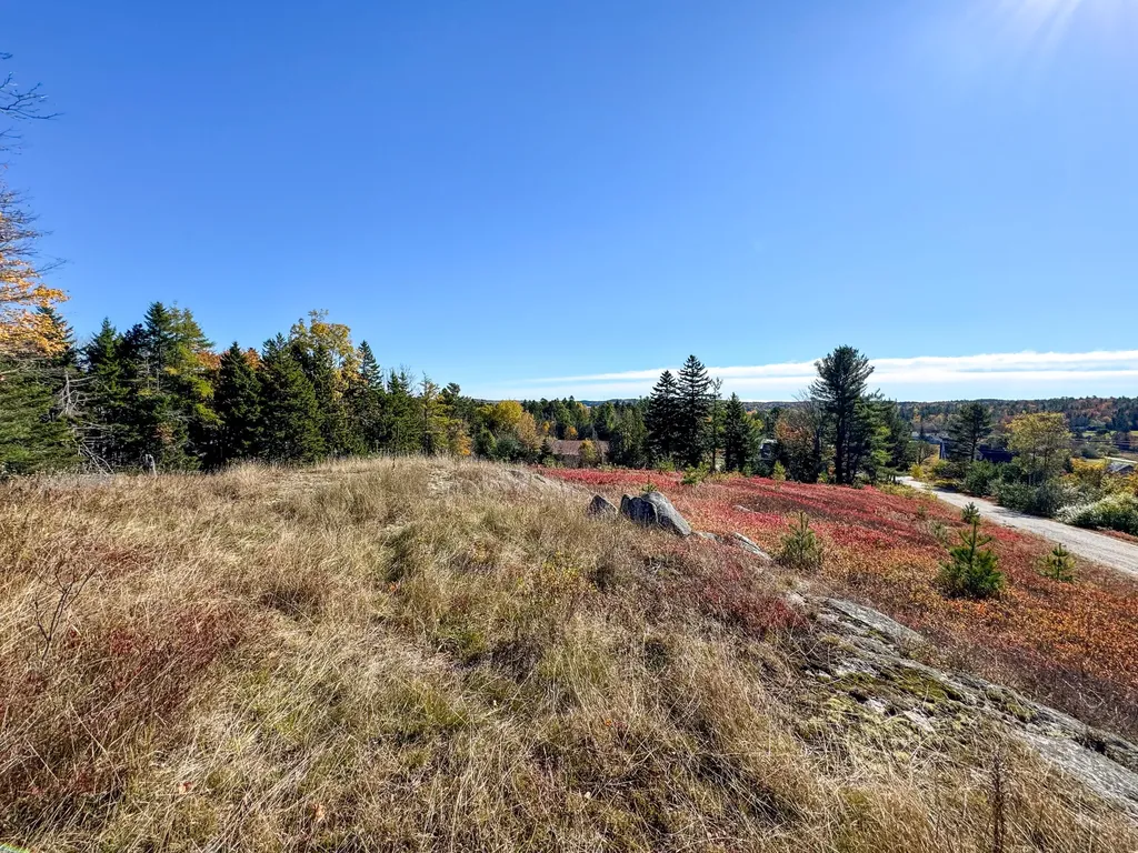 Lot 48b Getchell Lane Marshfield ME 04654