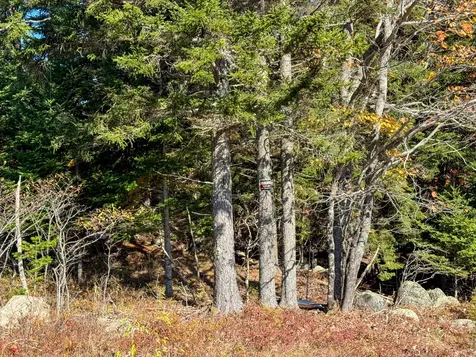 Lot 48b Getchell Lane Marshfield ME 04654