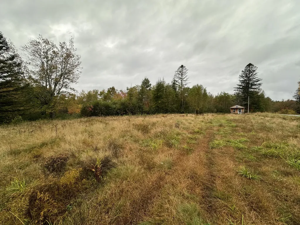 LOT43-99-1 First Street Milo ME 04463
