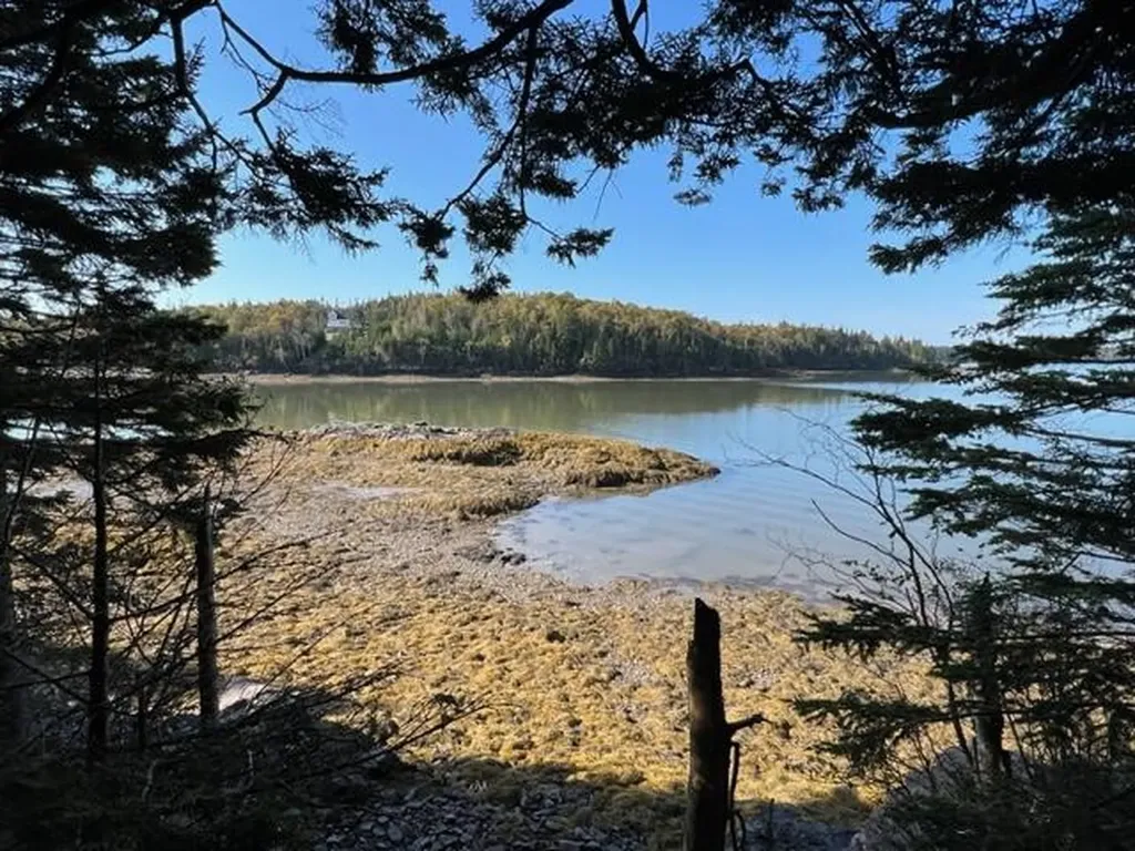 Lot 13 Collins Cove Road Machiasport ME 04655