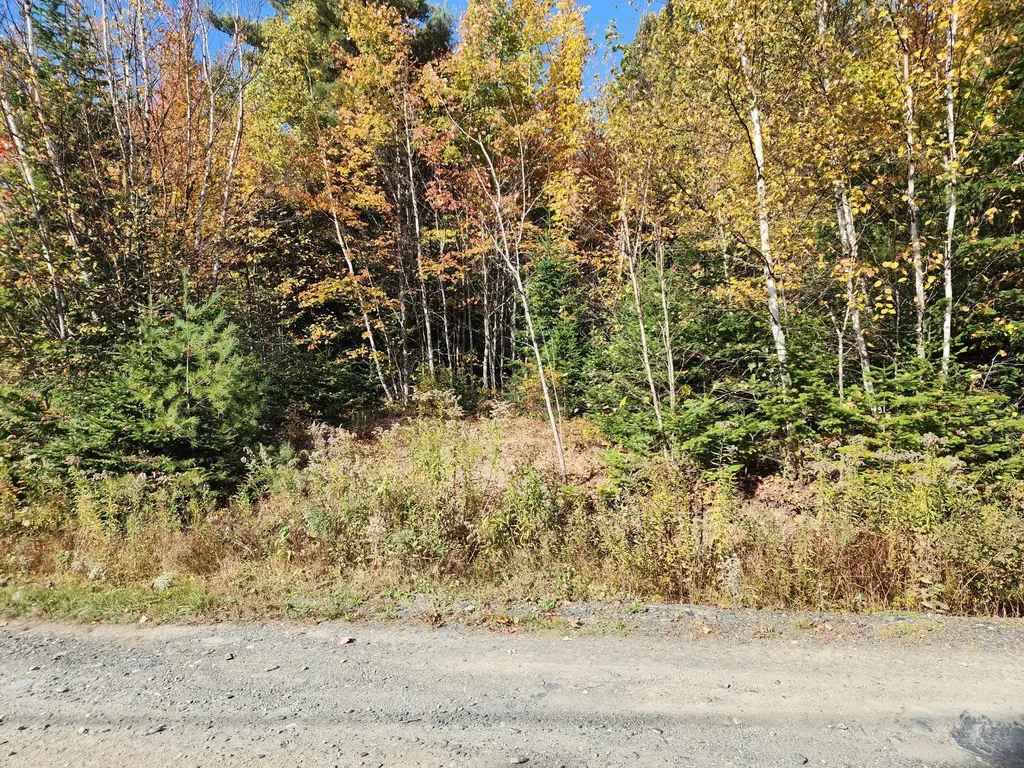 Lot 5-8 Bushey Road Greenville ME 04441