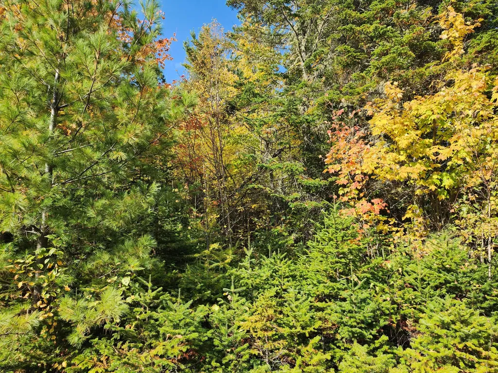 Lot 5-8 Bushey Road Greenville ME 04441