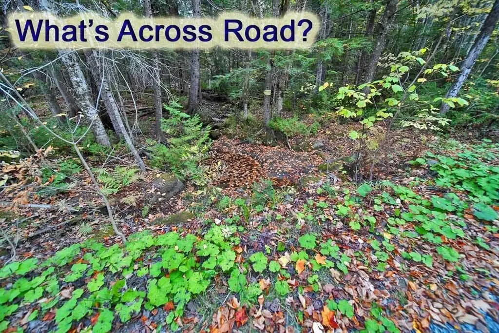 Lot 12 Winter Road Linneus ME 04730