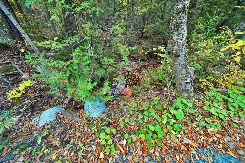 Lot 12 Winter Road Linneus ME 04730