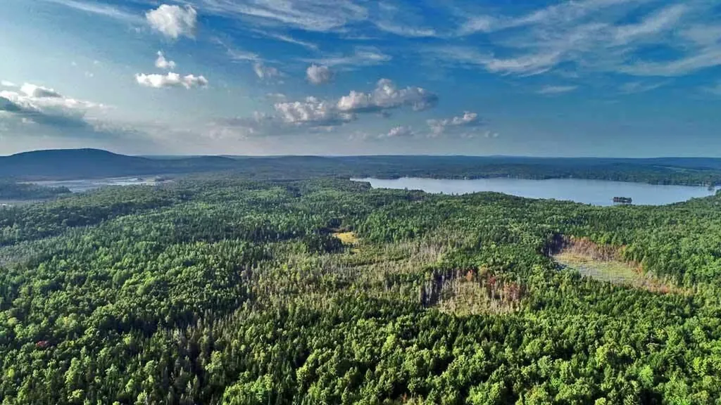 Lot 12 Winter Road Linneus ME 04730