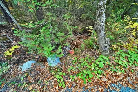 Lot 12 Winter Road Linneus ME 04730